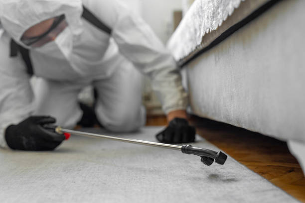 Professional Termite Control technician working in Jefferson, WI