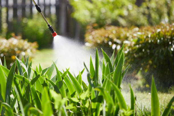 24/7 Emergency Termite Control experts in Jefferson, WI